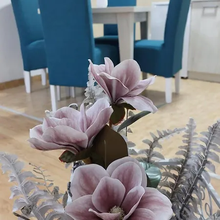 Magnolija Apartmán *